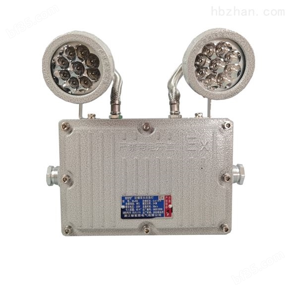 国产吸壁式LED防爆双头应急灯生产