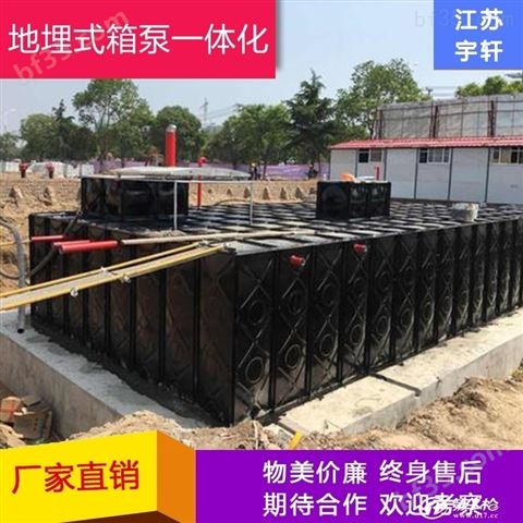 东港地埋箱泵一体化厂家包调试