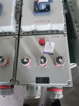 BXM8050-12/K防爆防腐照明配电箱