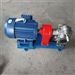KCB不锈钢齿轮泵  齿轮油泵 泊头大源泵业