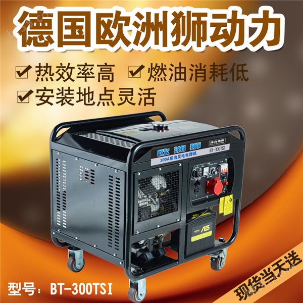 300A发电电焊机