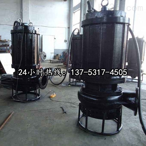 于沉井排沙泵高耐磨搅拌沙浆泵吸渣泵BQS50-50-18.8/N晋城图片