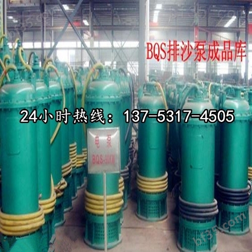 高扬程潜水排污泵BQS300-50-90/N咸宁价格