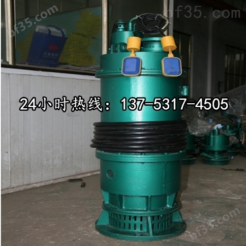 防爆排污排沙潜水电泵BQS150-100/2-90/N黑河图片
