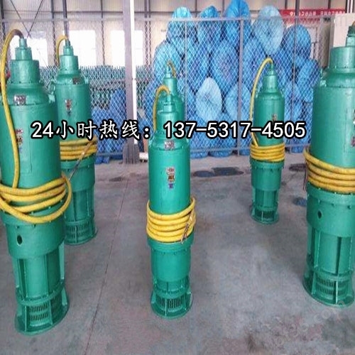 潜水立式排污泵BQS80-180/3-90/N扬州价格