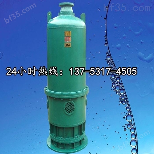 BQS120-100/2-75/N不锈钢潜水排沙泵*来宾