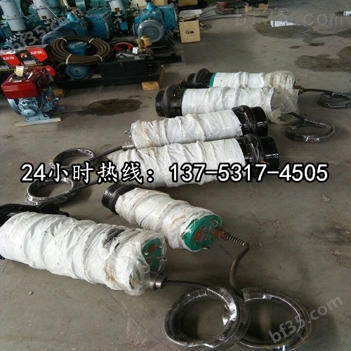 BQS30-100/2-22/N潜水排沙泵原理-用途*鄂州