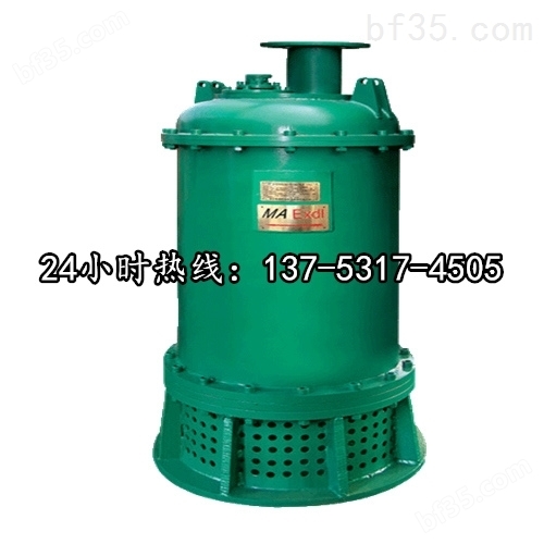 BQS120-50-30/N防爆排污排沙潜水电泵*盐城市