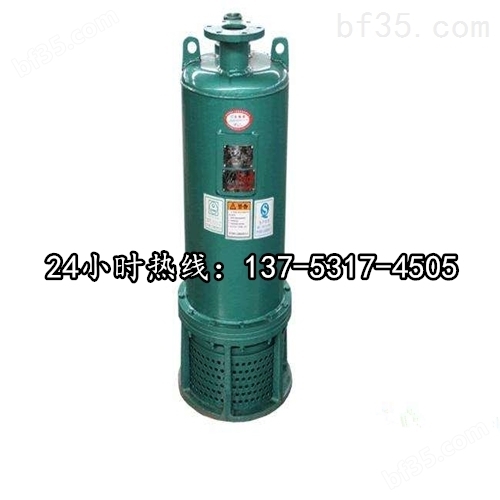 BQS30-100/2-22/N潜水排沙泵原理-用途*鄂州