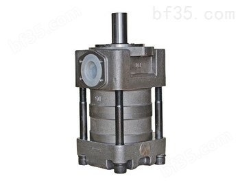 NT2-G12F内啮合液压泵夯发供应