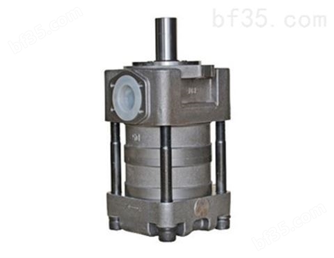 NT5-G100F内啮合液压泵夯发供应