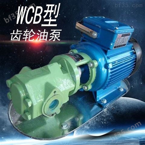 WCB微型齿轮油泵手提式润滑油泵