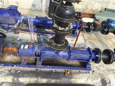 不锈钢工业级水泵 大流量螺杆式污泥增压泵